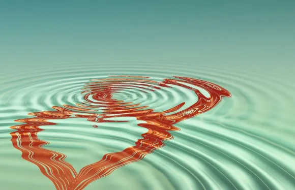 BetCoco Kasino Podpora